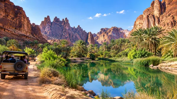 Al-Disah Oasis